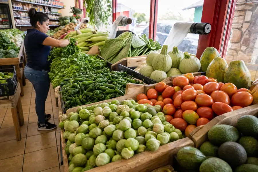 Fresh tomatillos, tomatoes, avocados, nopales and chiles in the Fullerton produce department