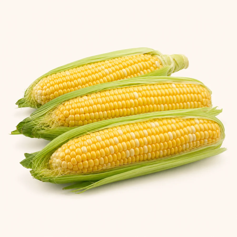 Fresh corn — Elote fresco at La Aguila Market