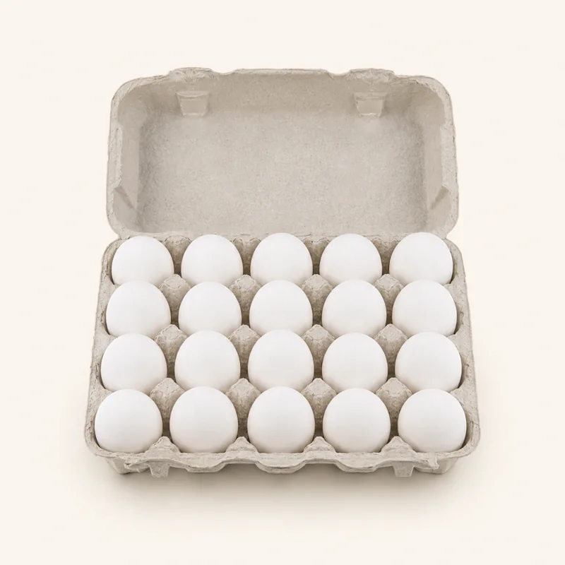 Large eggs, 20 pack — Huevos grandes, paquete de 20 at La Aguila Market
