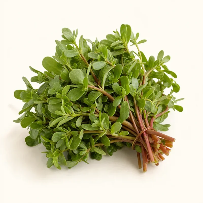 Purslane — Verdolagas at La Aguila Market