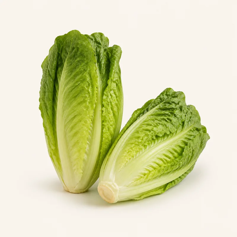 Romaine lettuce — Lechuga romana at La Aguila Market
