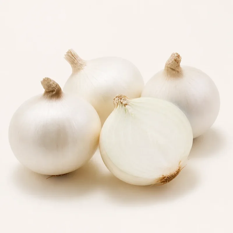 White onion — Cebolla blanca at La Aguila Market