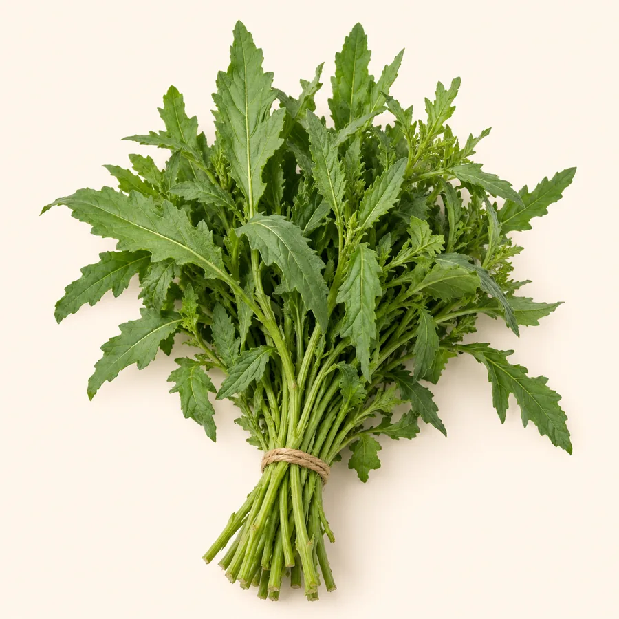 Epazote bunch — Manojo de epazote at La Aguila Market
